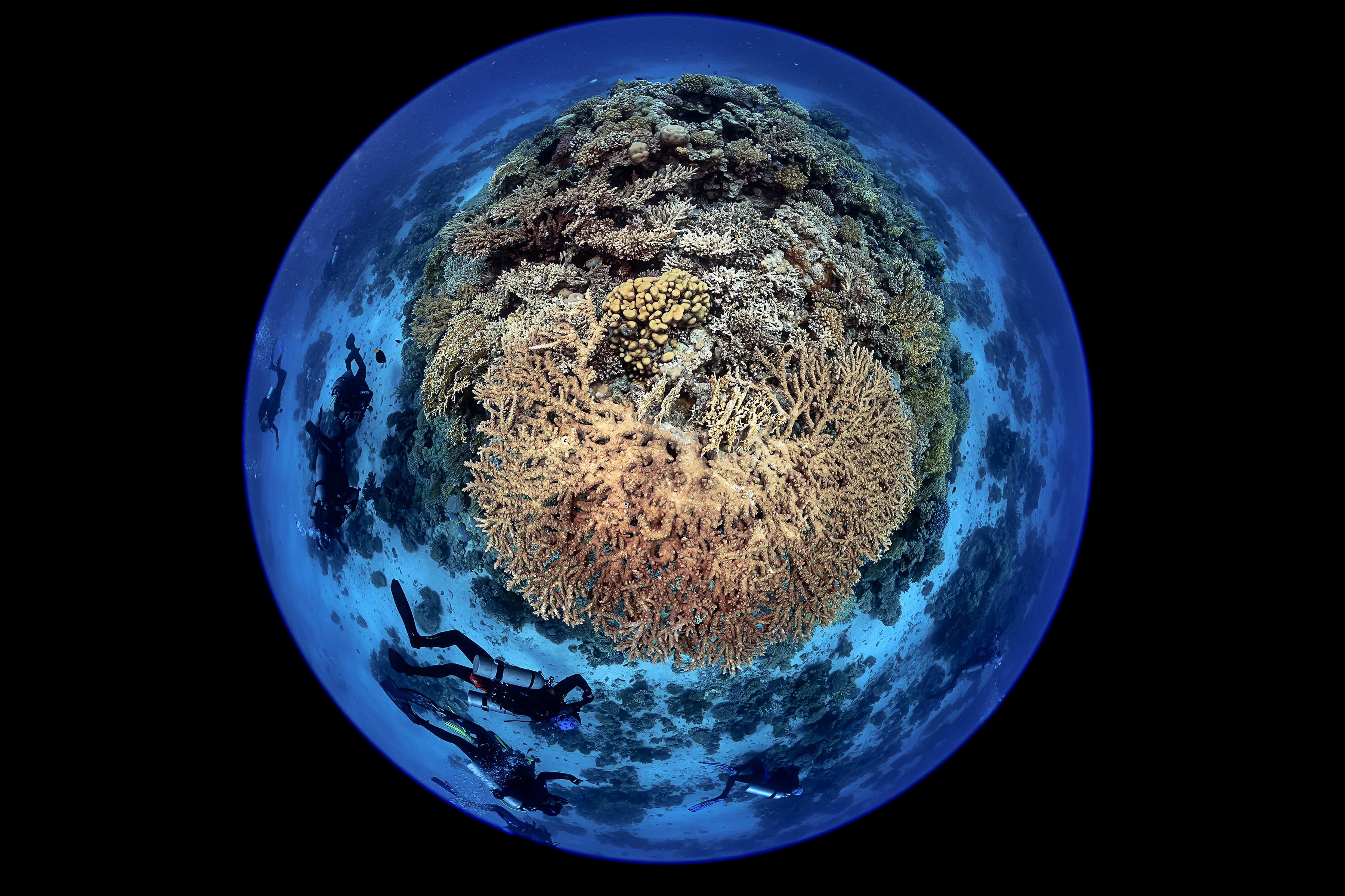 A circular fisheye underwater photograph framing a thriving, spherical coral reef to look like a small planet floating in pitch-black space. The "planet's" surface is covered in detailed brown, beige, and golden stony corals, surrounded by clear blue water where several scuba divers are seen swimming around its lower edge.