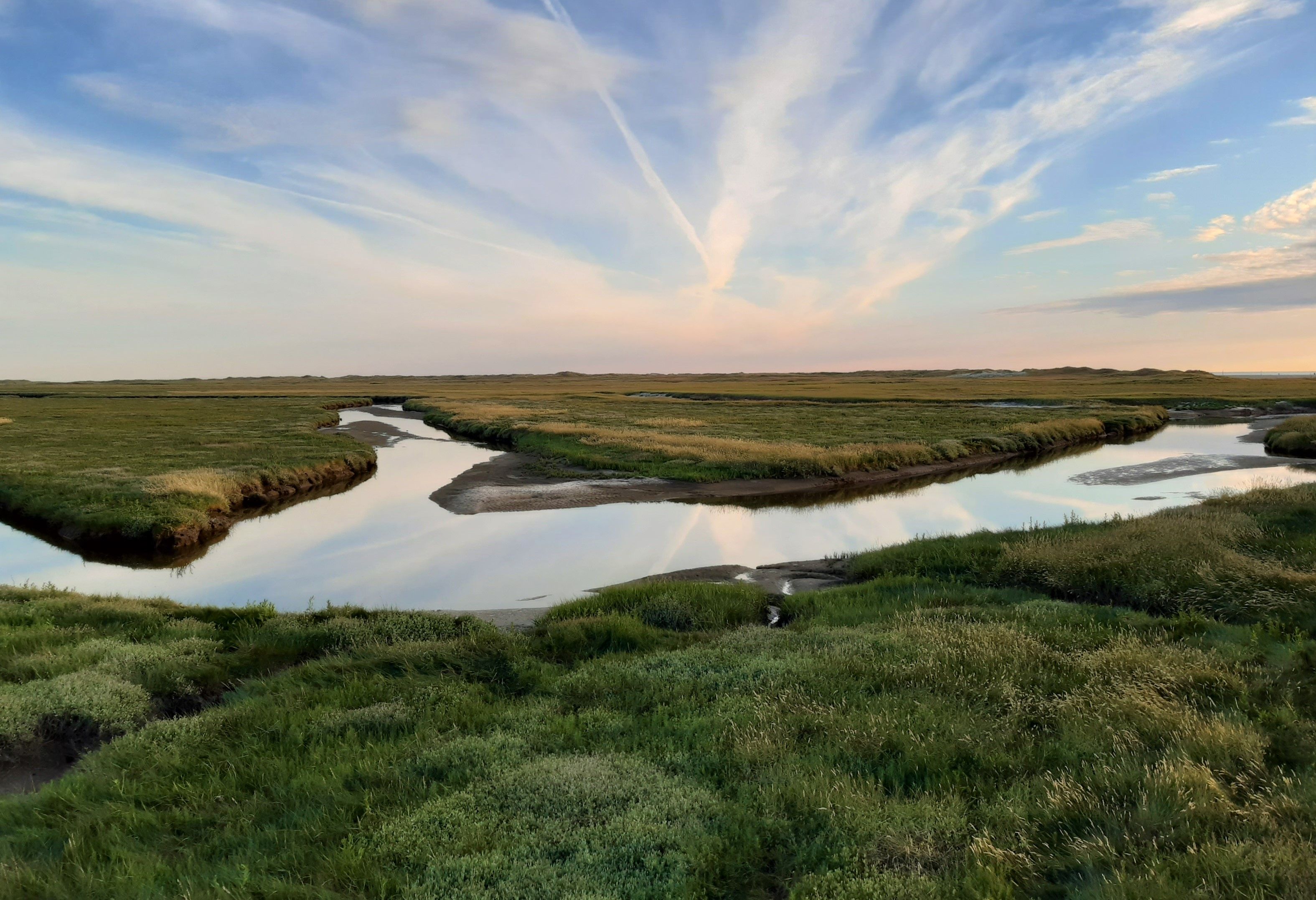 SaltMarshes