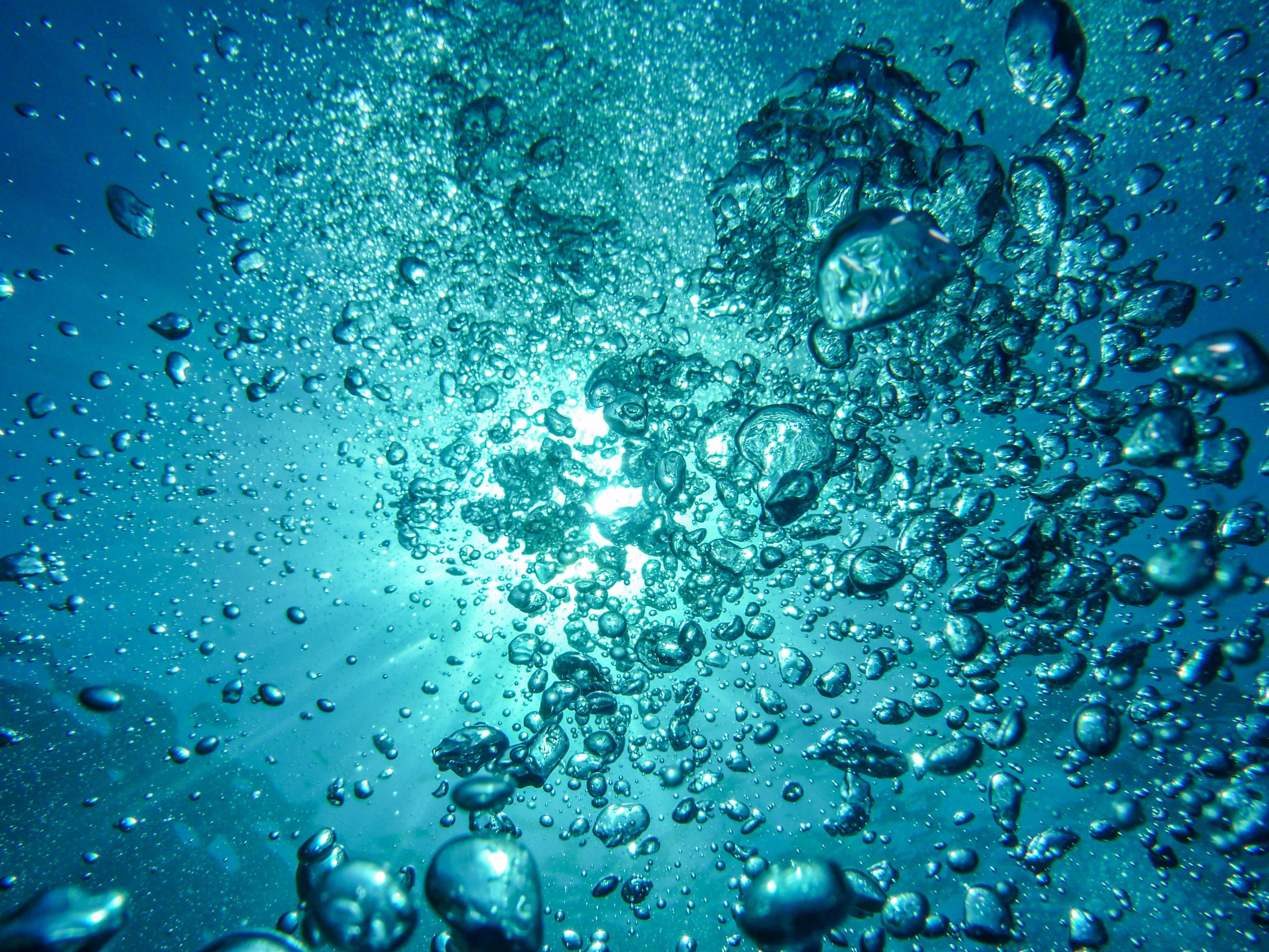 CarbonCycle