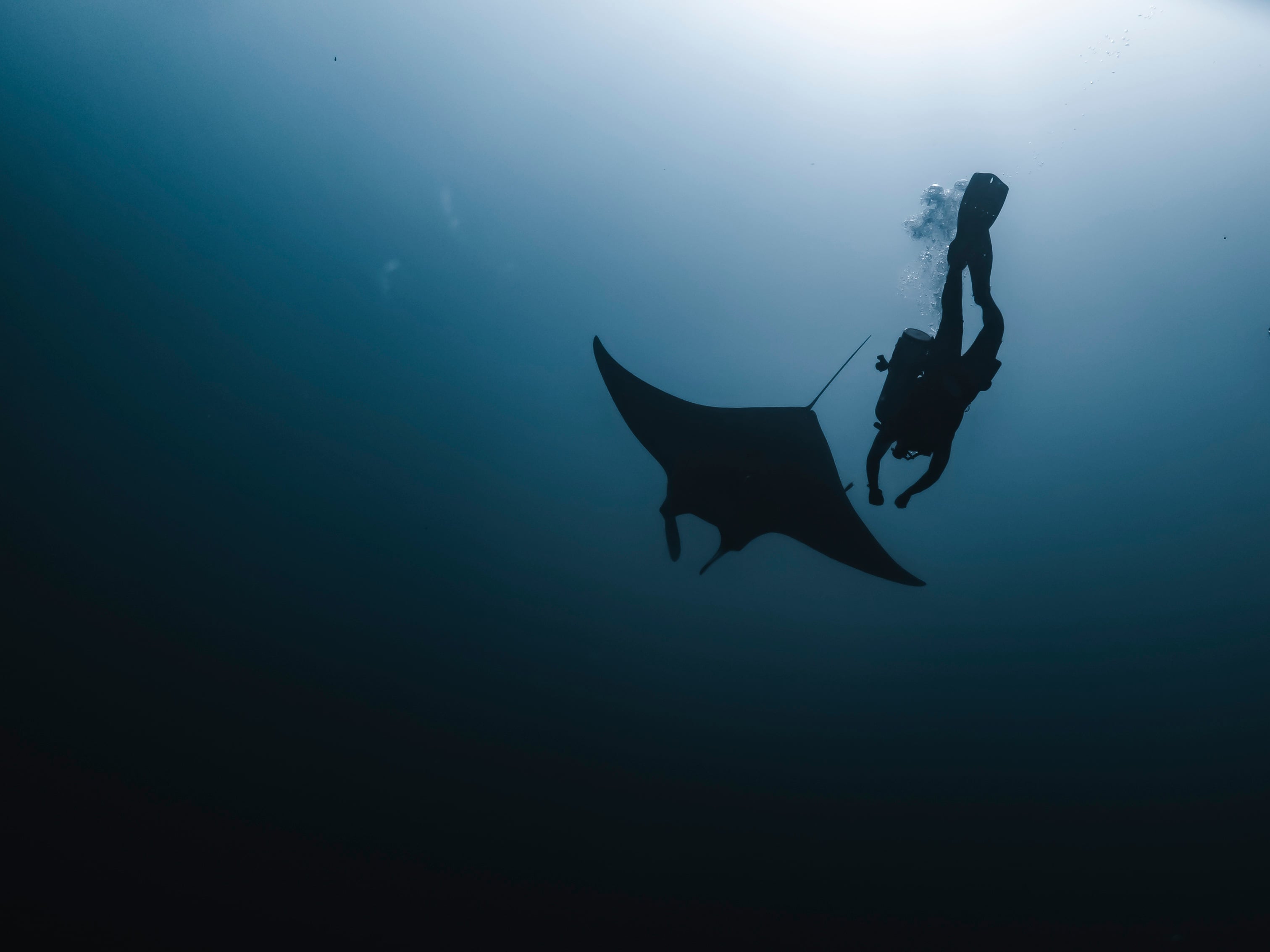 OceanandHumanHealth