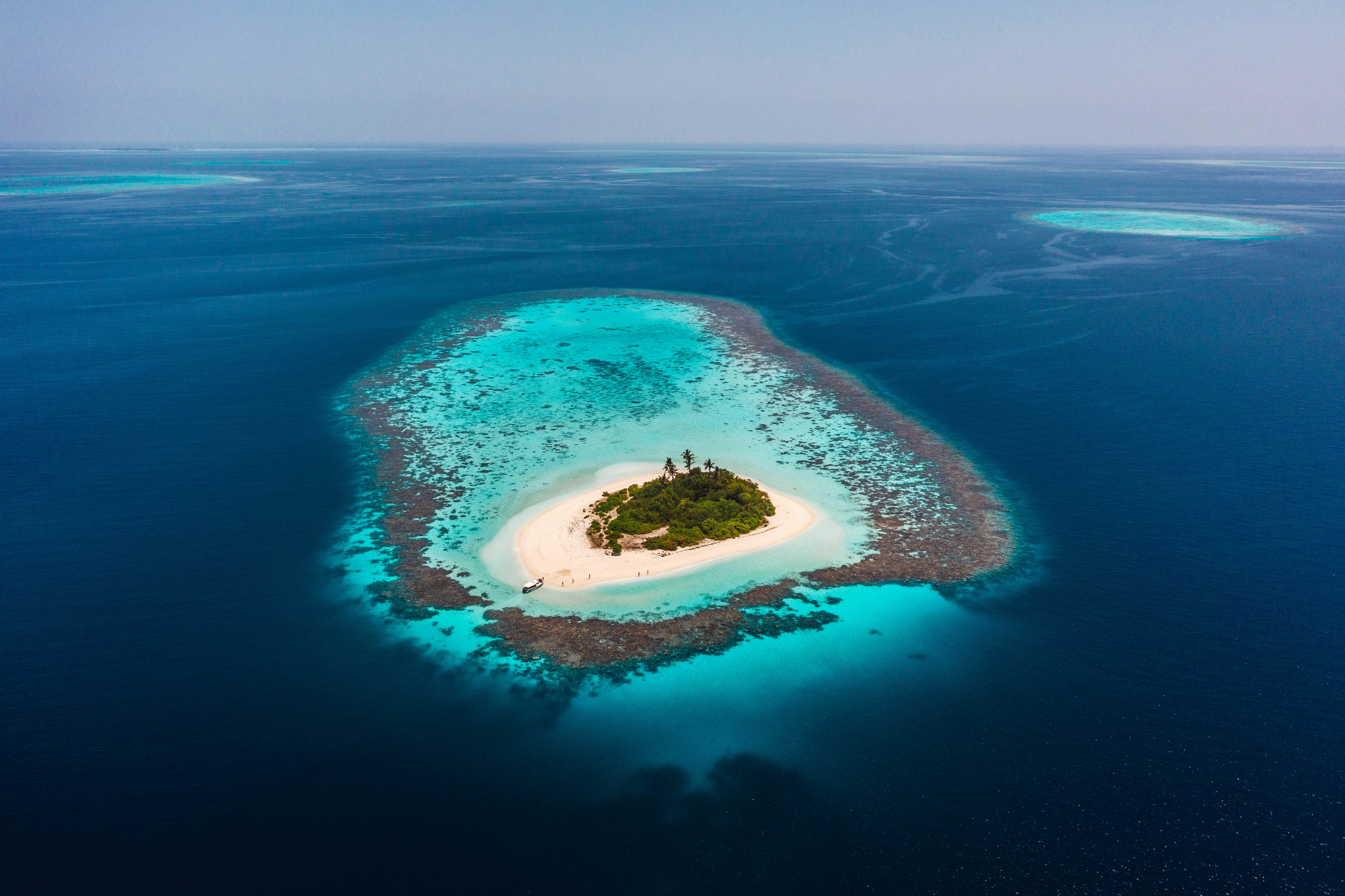 An aerial drone photograph of a tiny, isolated tropical island in the Maldives. A small, dense cluster of green palm trees sits on a white sand beach, surrounded by a ring of light turquoise water and a shallow coral reef. The entire islet is nestled within a vast expanse of deep blue ocean.
