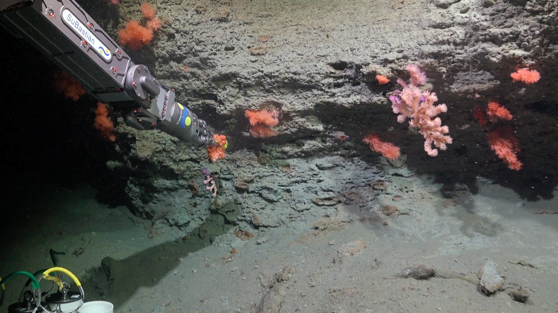 S4.C5j.5j Continental slopes and submarine canyons.jpg