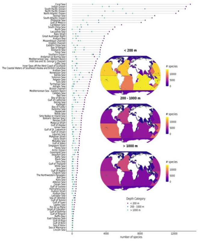 Figure IV Total number of recorded marine invertebrate benthic species for all International Hydrographic Organization sea areas for <200 m, 200-1000 m and >1000 m depth.