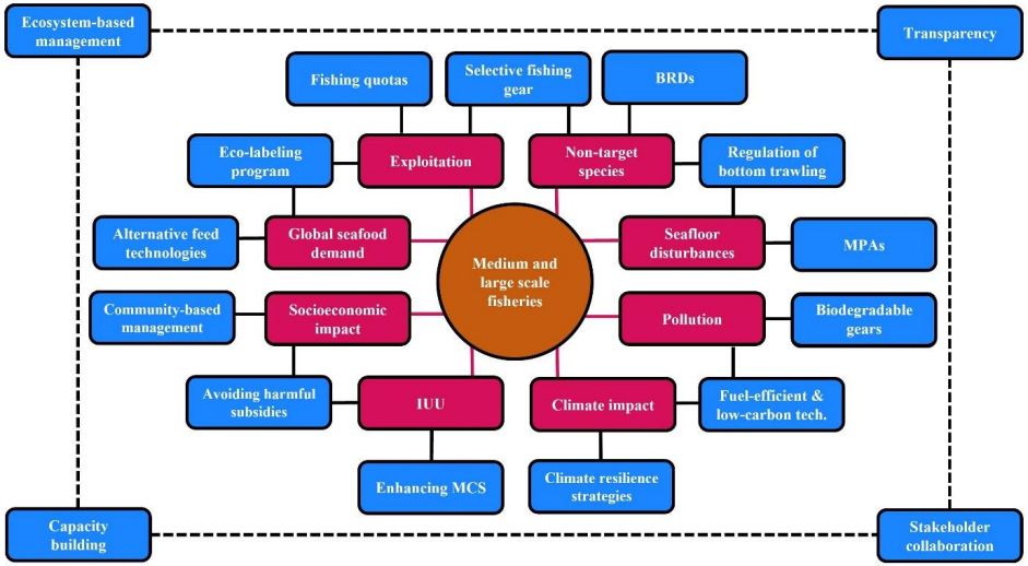 Figure II Sustainability pathways for medium- and large-scale fisheries.