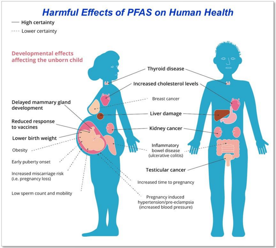 Effects of perfluoroalkyl and polyfluoroalkyl substances (PFAS) on human health
