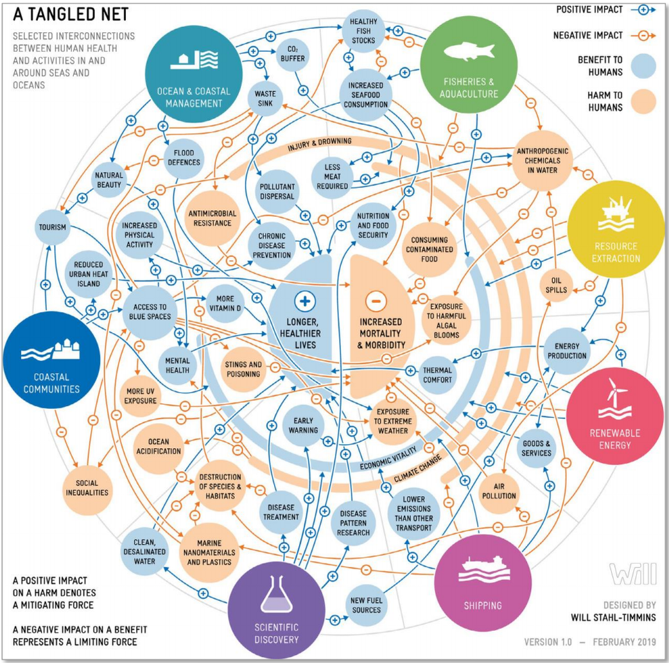 Figure I A tangled net: selected interactions between human health and activities in the marine and coastal environment