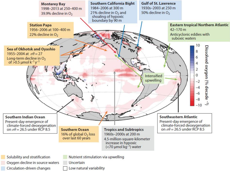 Figure XV
Representative long-term records of open ocean deoxygenation in intermediate waters superimposed on full ocean percentage change in dissolved oxygen per decade since 1960
