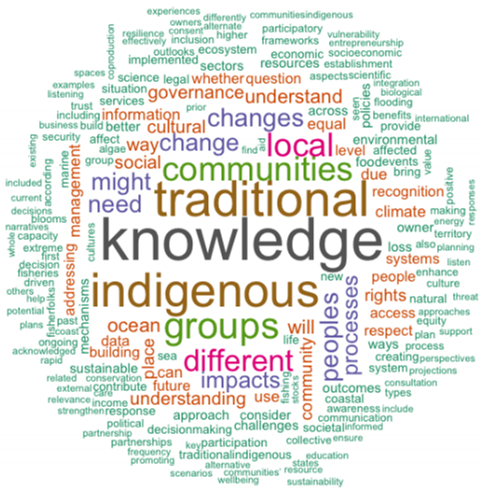 Figure II
Word cloud highlighting the most frequently mentioned concepts in response to questions posed at regional workshops
