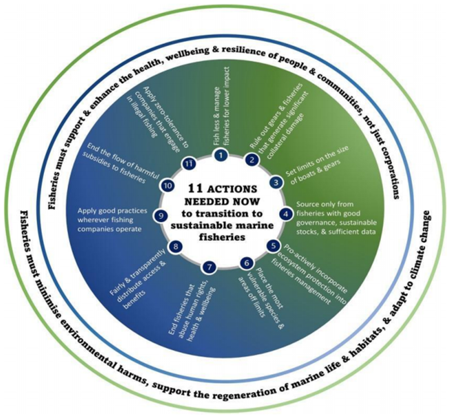 Figure II Road map and actions to transition to sustainable marine fisheries