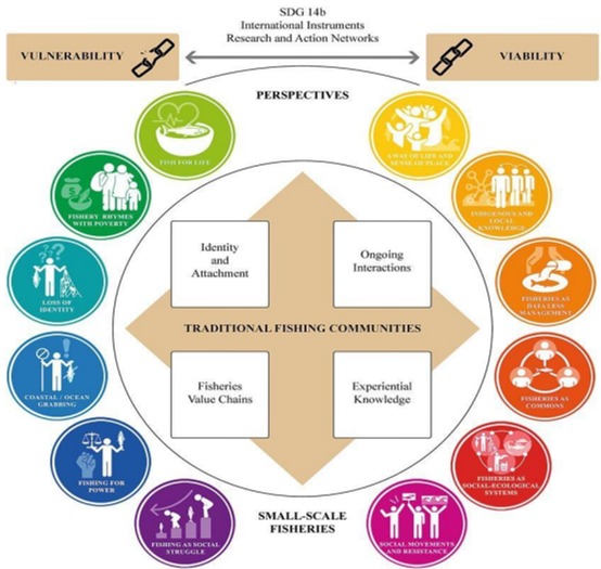Figure III Transitions from vulnerability to viability
