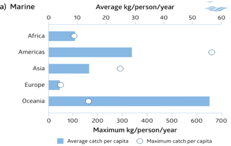 Figure I Global estimates of marine small-scale fisheries' catch per capita, by region (average annual values, 2013-2017)