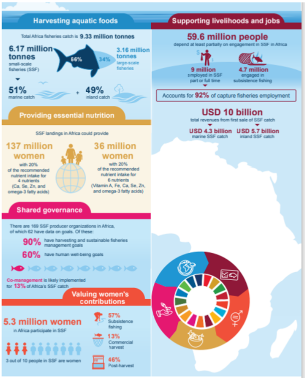 Figure V Small-scale fisheries' contribution to processing and value addition benefits in Africa