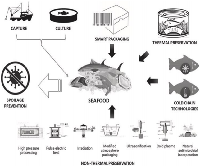 Figure II Seafood processing infrastructure and techniques
