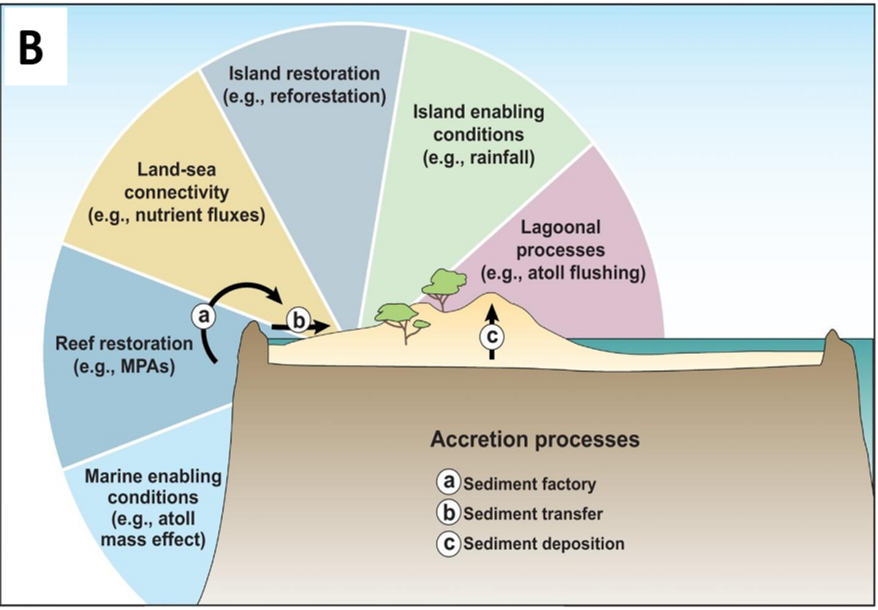 Figure II Identification of biogeosphere links critical for atoll island protection and restoration