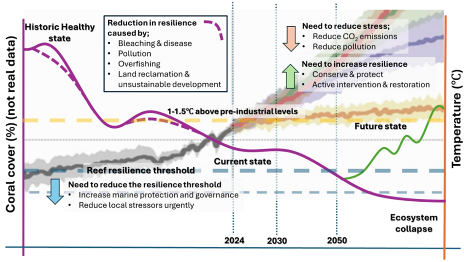 Figure II Compromised reef resilience and decadal decline of coral cover with an even bleaker future outlook