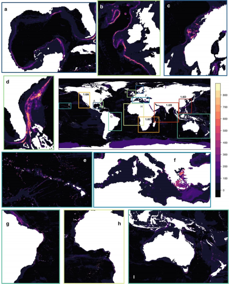 Figure I Map of ensemble weighted mean habitat suitability index scores for CWCS reefs and reef-forming taxa known to occur within the regions of the world