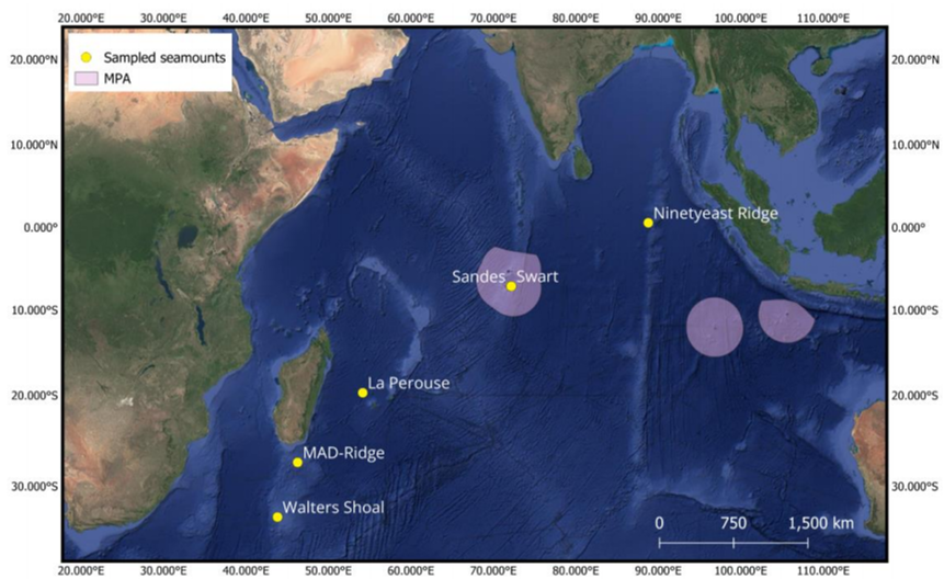Figure VII
Indian Ocean seamounts and marine protected areas