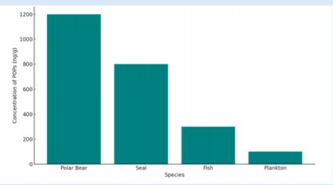 Figure Bioaccumulation of persistent organic pollutants in Arctic marine species