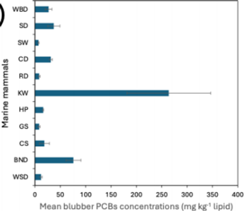 Figure VI
Mean concentration of persistent organic pollutants in the blubber of cetaceans A. PCBs and DDT isomers