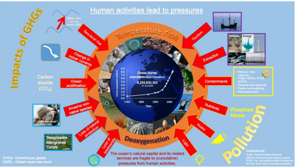 Figure I Pressures from and of human activity on marine ecosystems