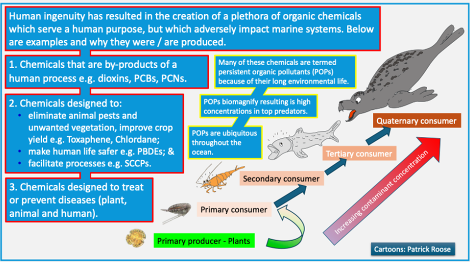 Figure IV Persistence, bioaccumulation and biomagnification of persistent organic pollutants