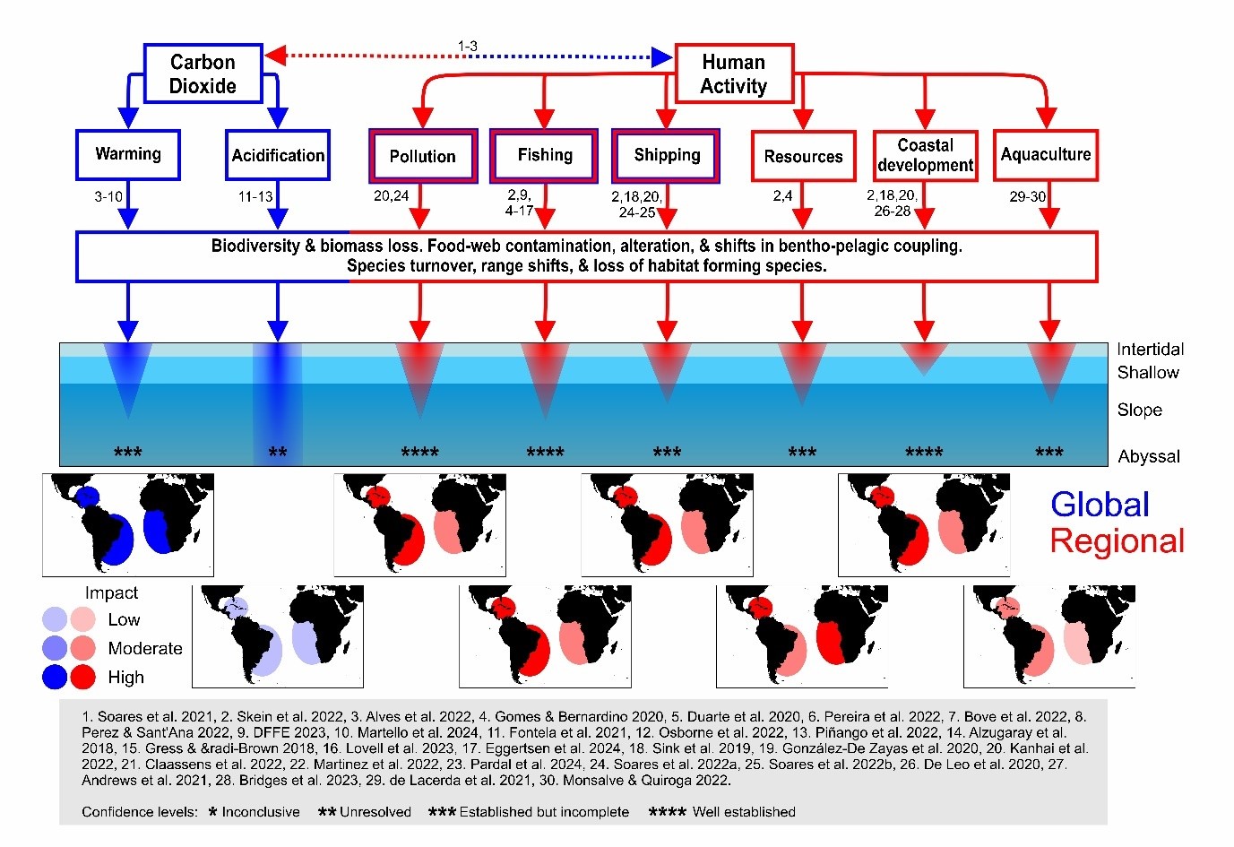 Figure 4C.7. The South Atlantic Ocean and the Wider Caribbean. Global and local stressors, associated pressures, and recently documented consequences on marine benthic invertebrates. Arrows width identifies relative importance of stressors at/on global and local scales.