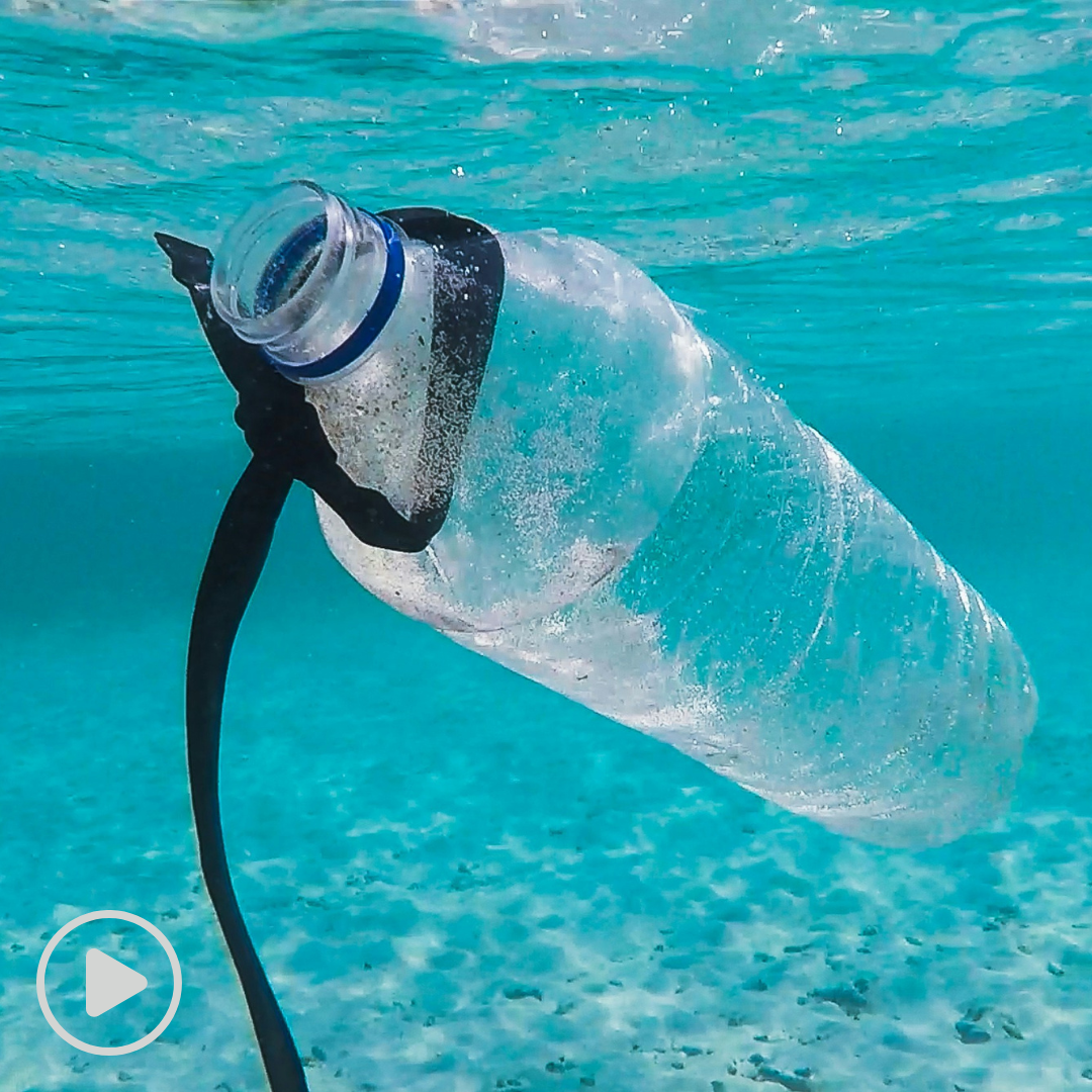 Close-up underwater image of a clear plastic bottle floating near the ocean surface in turquoise water. A black plastic strap is wrapped around the bottle’s neck, illustrating marine plastic pollution and the threat of plastic waste to ocean ecosystems.