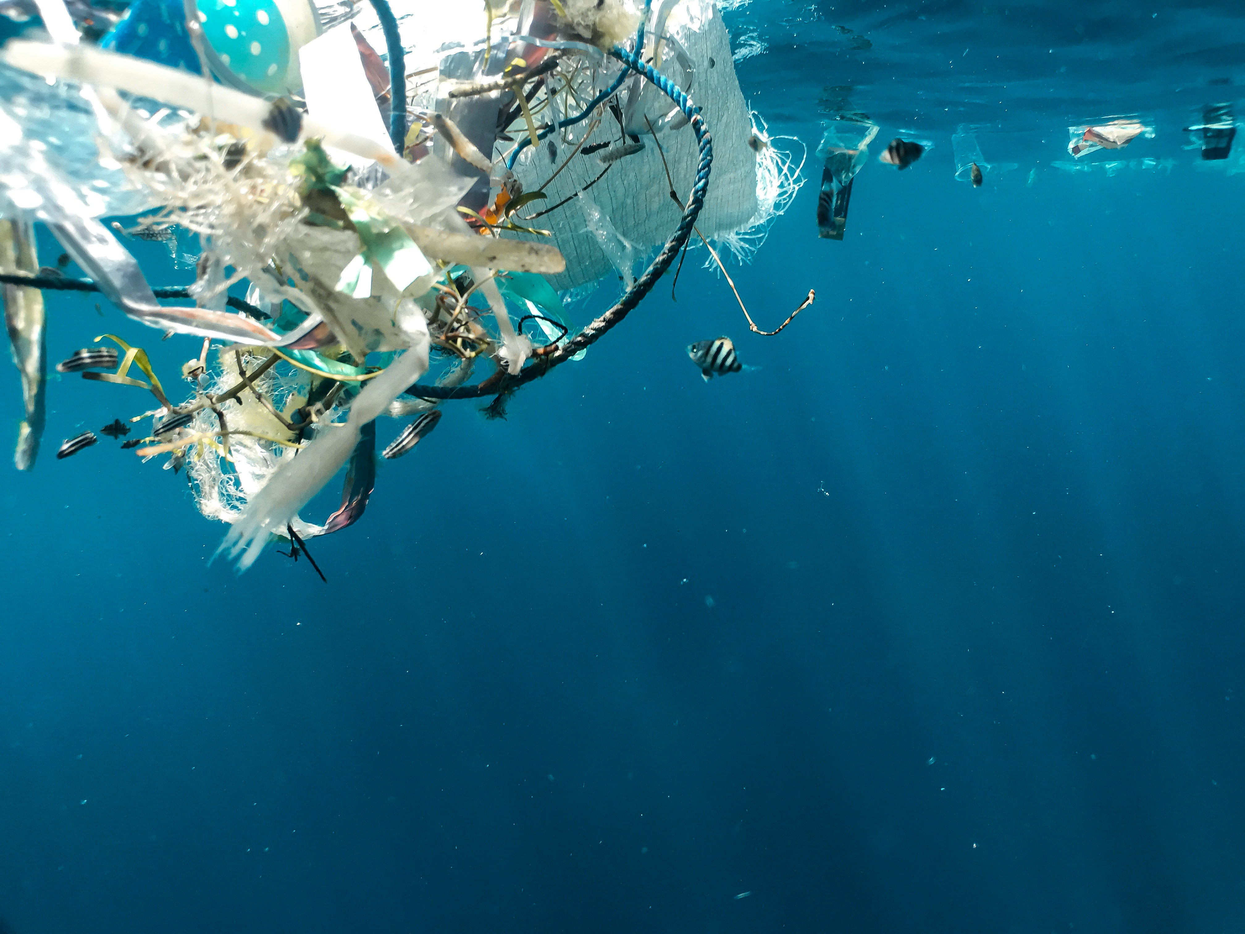 Underwater view of plastic waste and discarded fishing gear floating near the ocean surface, with several small fish swimming among the debris in clear blue water.