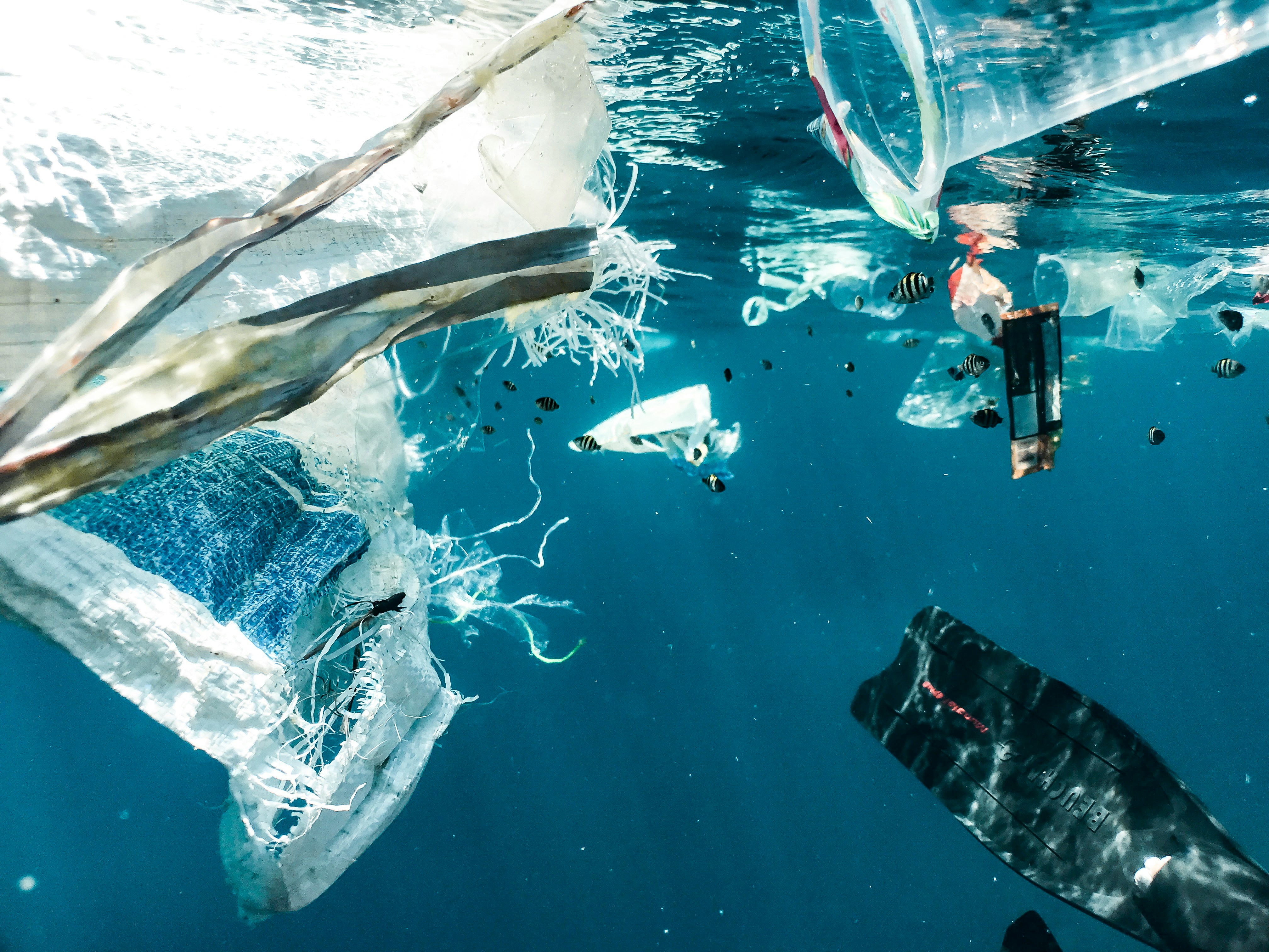 Underwater view of ocean pollution showing floating plastic debris, including bags, packaging fragments, and a plastic bottle, suspended near the water’s surface. Small striped fish swim among the litter in clear blue water, illustrating the impact of plastic waste on marine ecosystems